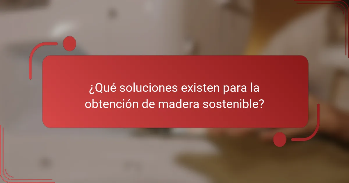 ¿Qué soluciones existen para la obtención de madera sostenible?